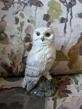 Royal doulton whyte - royal,