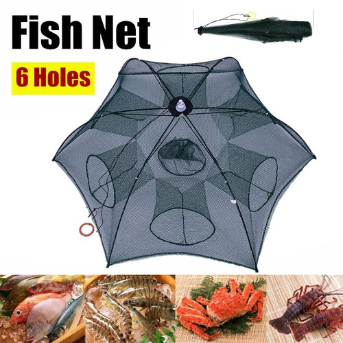 Foldable holesfishing bait - holesfishing,