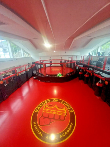 Mma cage octagon - cage,
