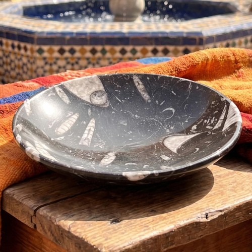 Orthoceras fossil stone bowl - fossil,