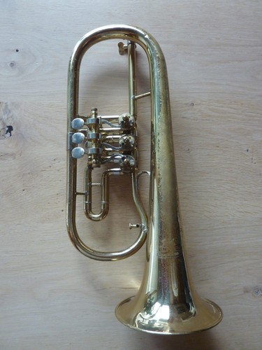 Flugelhorn lignatone - -,