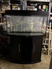 Juwel 180L Bow Front Aquarium