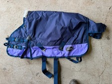 Miniature Pony And Horse Rugs