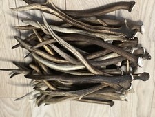 1kg Of Deer Antler Pieces, Single Point Horns