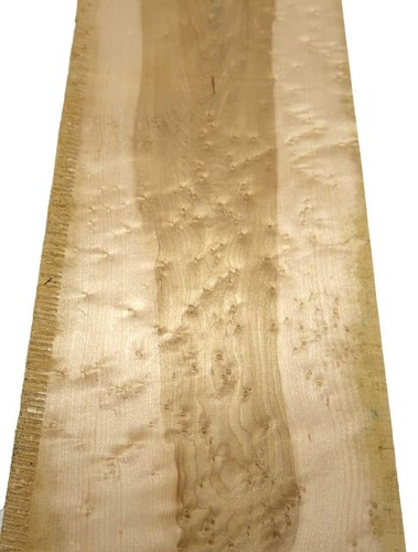 Bird eye maple wood - bird's,