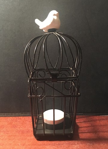 Shabby chic birdcage - shabby,