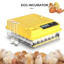 Fully Automatic Incubator