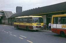 105 FBU 302K Richardson, Sheffield 6x4 Quality Bus Photo