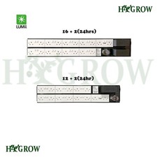 Lumii Black Lighting Timer