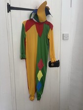 Children Jester Costume, Suit