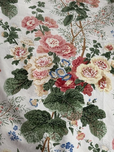Althea lee jofa hollyhock - althea,