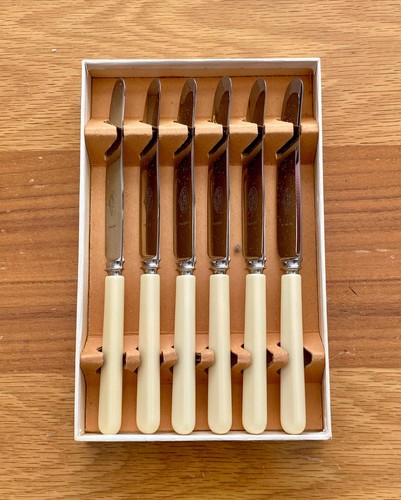 Vintage boxed set faux bone - set,
