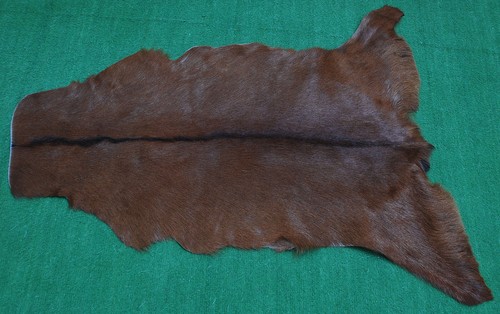 Luxury goat hide - goat, on