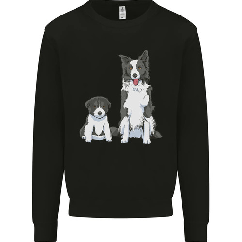 Border collie and - collie, puppy