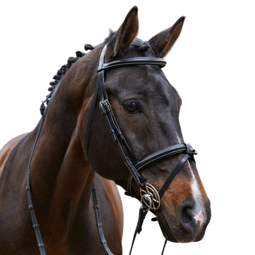 John whitaker - john,