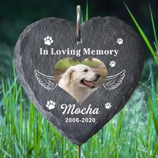 Personalised Dog Cat Pet