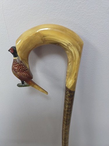 Pheasant rams horn shepherds - pheasant,