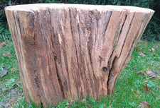 Natural aged wooden table, tree stump, tree trunk coffee table, rustic furniture