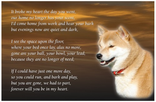 Akita dog fridge magnet pet - fridge,