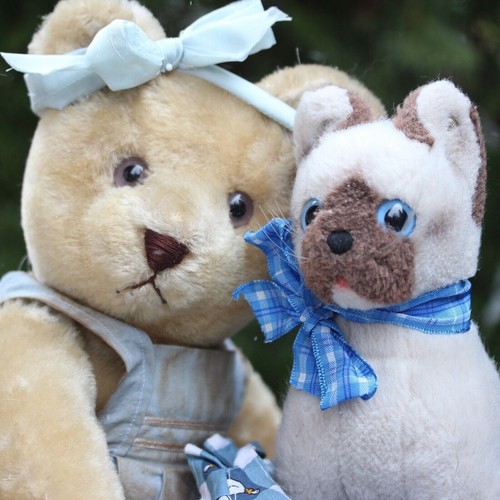 Rare antique teddy bear - antique,