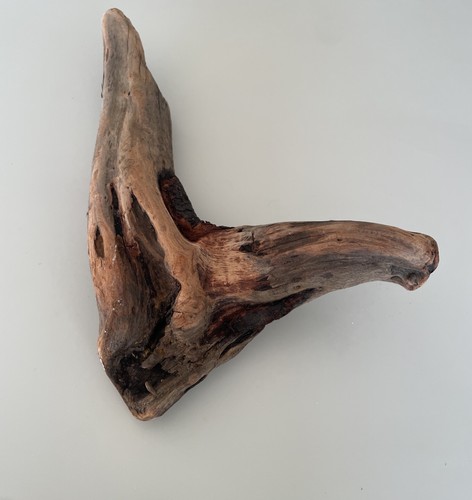Natural driftwood fish tank - fish,