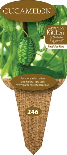 Cucamelon plants x 9cm - cucamelon,