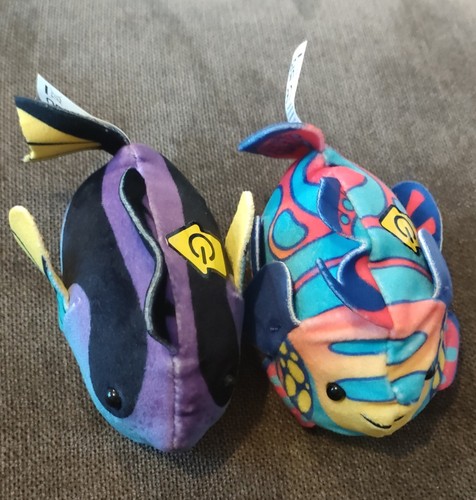 Zhu pets - zhu,