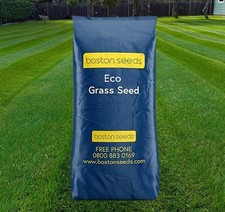 2kg Boston Seeds BS Economy