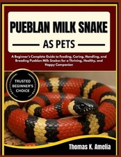 Pueblan Milk Snake as Pets: A