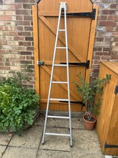 Window Cleaning Ladder (points) Single Section Ramsay