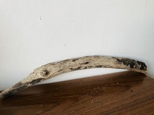 37cm DRIFTWOOD BRANCH Craft
