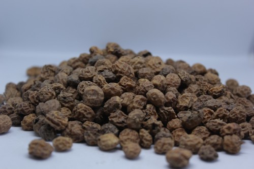 Fishing tiger nuts unprepared - fishing,
