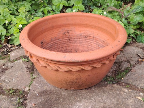 Terracotta large plant - large,