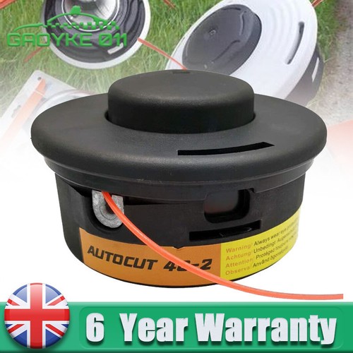 Strimmer head for - strimmer,