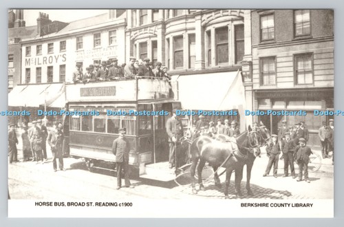 R789514 reading broad horse - r789514,
