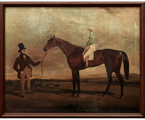 Winning racehorse century - racehorse, 19