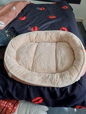 BRAND NEW ⭐️CATH