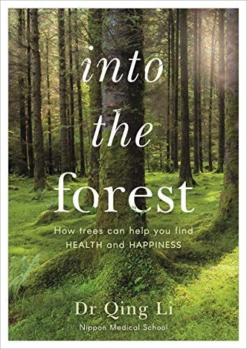 Into the forest - into,