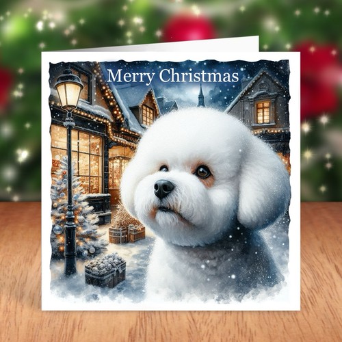 Bichon frise dog - bichon,