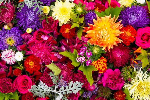 Mixed summer flowering - 60,