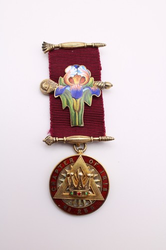 Silver masonic enamel jewel