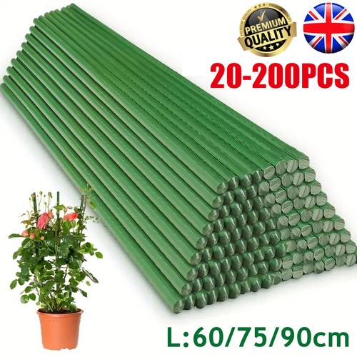 Up200x green garden plant - up200x,