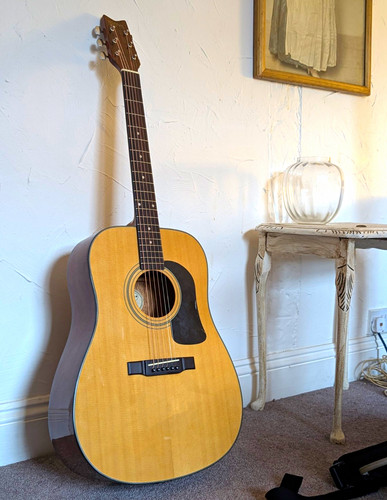 Acoustic george washburn - acoustic,