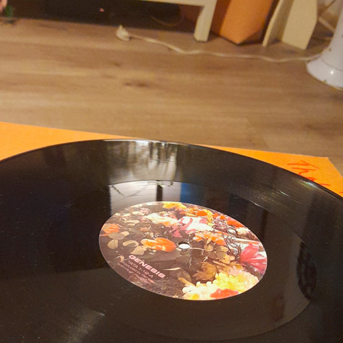 Genesis that all black - 12",