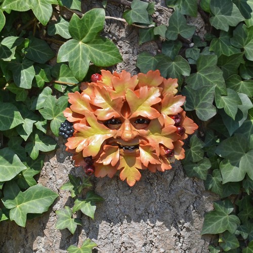 Hawthorn green man - man, garden