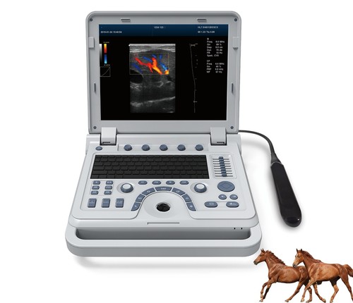 Portable veterinary ultrasound - veterinary,