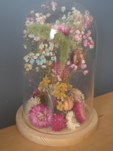 Dried preserved flower glass - dried,