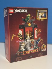 in hand 71866 Ninja Character