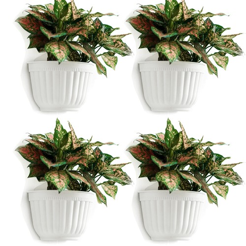 Vertical wall planter pots - vertical,