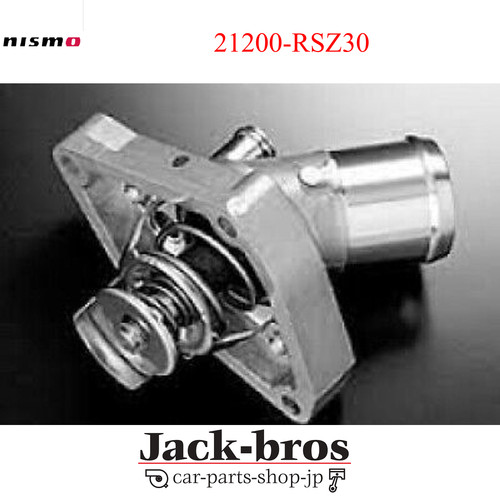 Nismo low temperature - low,